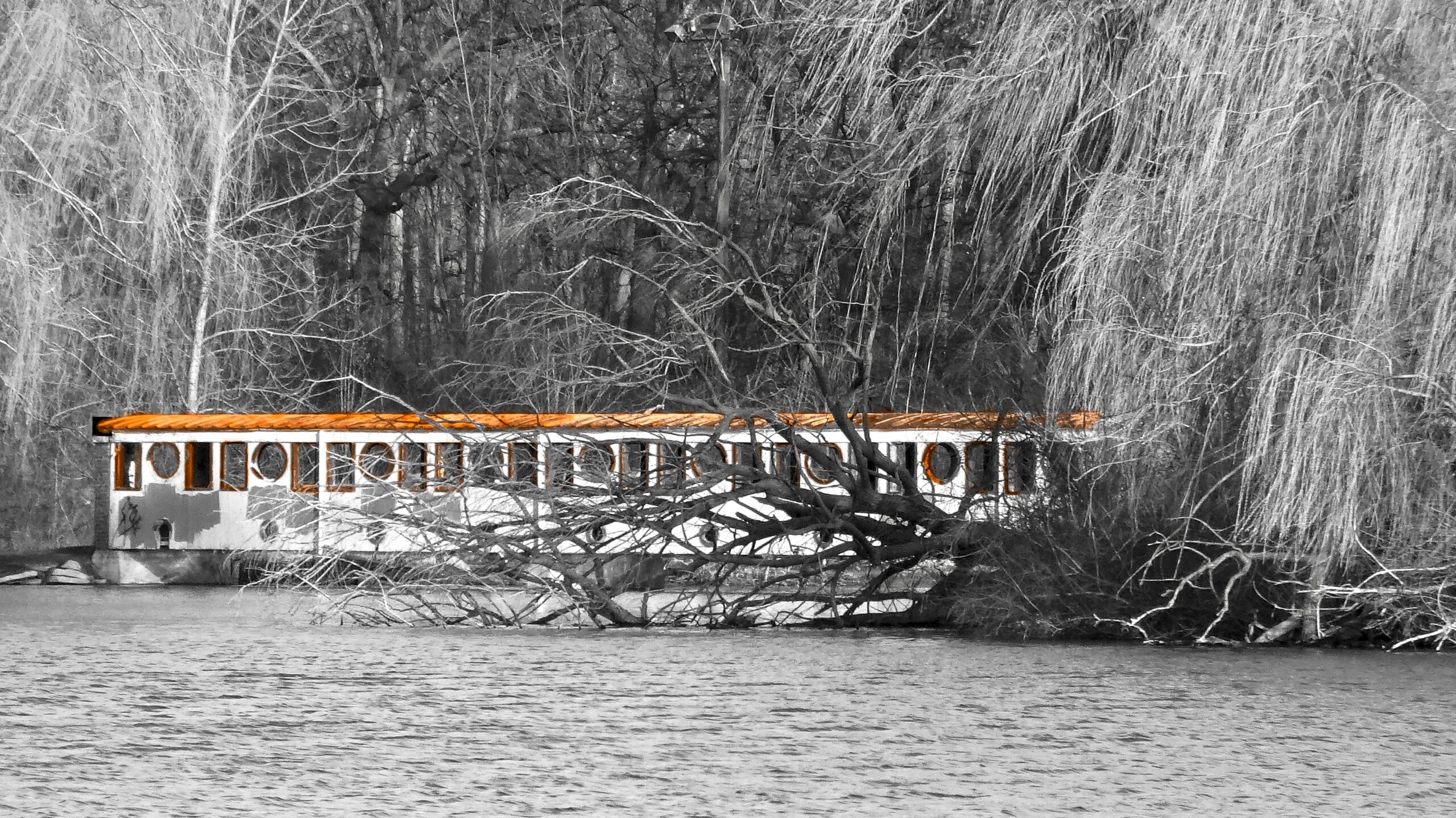 Belle Isle, COVID, Detroit, Lockdown, MI, Nature, Park, Winter, wall art, Photo, photos, photography, home furnishing, home decoration,