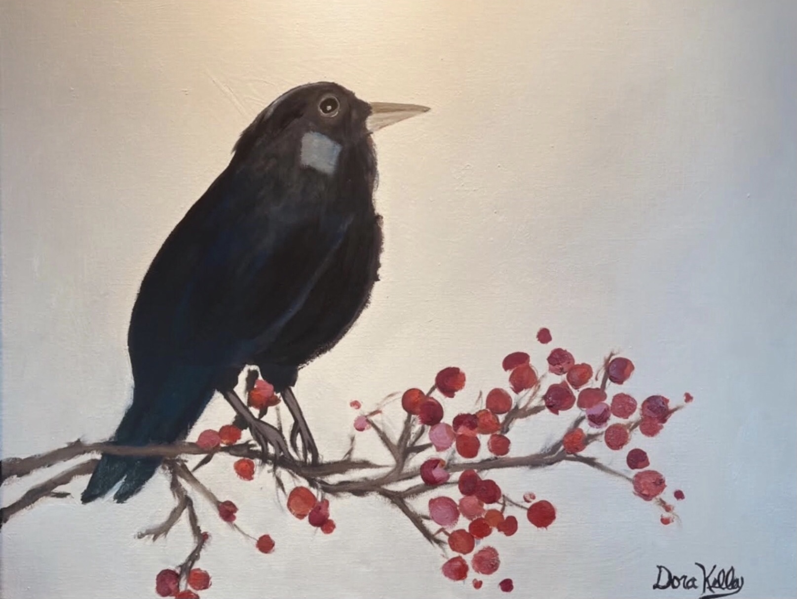 Black Bird  and berries