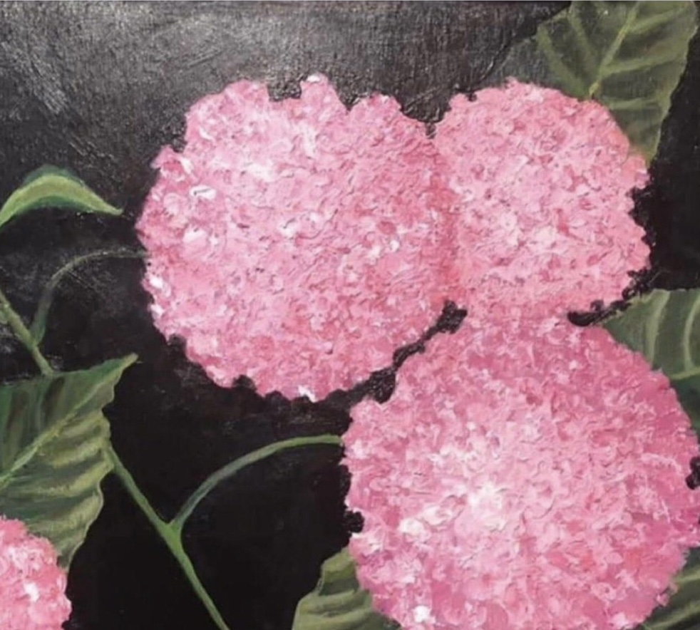 Pink Hydrangeas