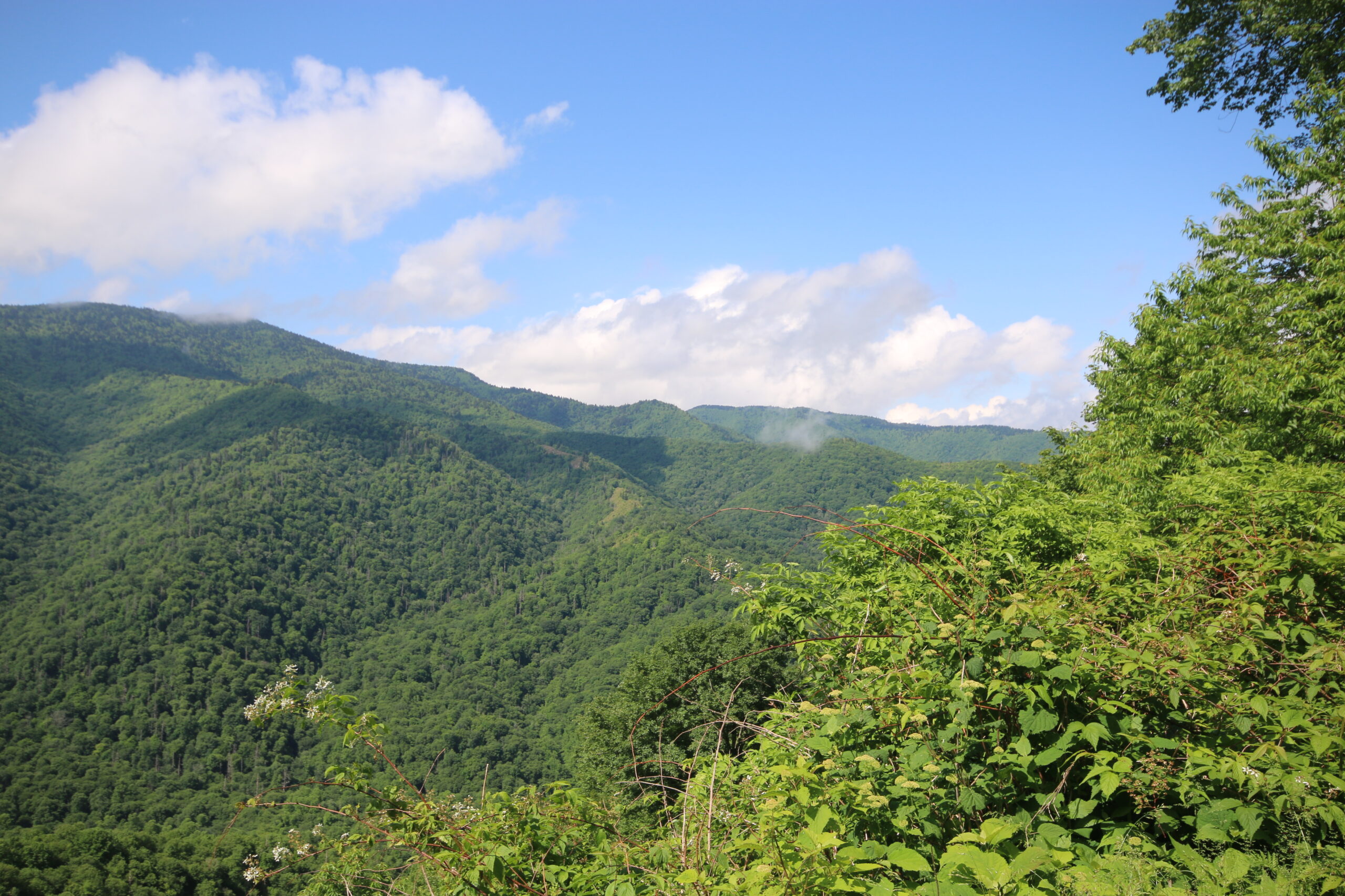 Smokey Mountains (Sunny Day)