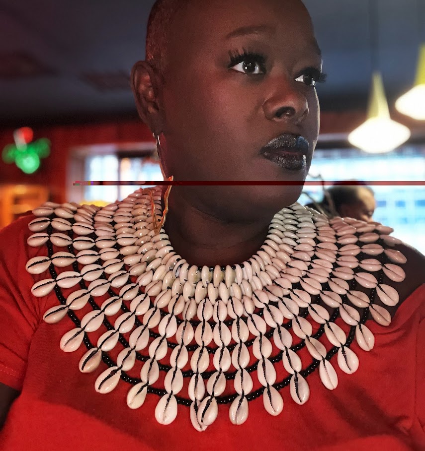 Cowrie Shell Collar Necklace