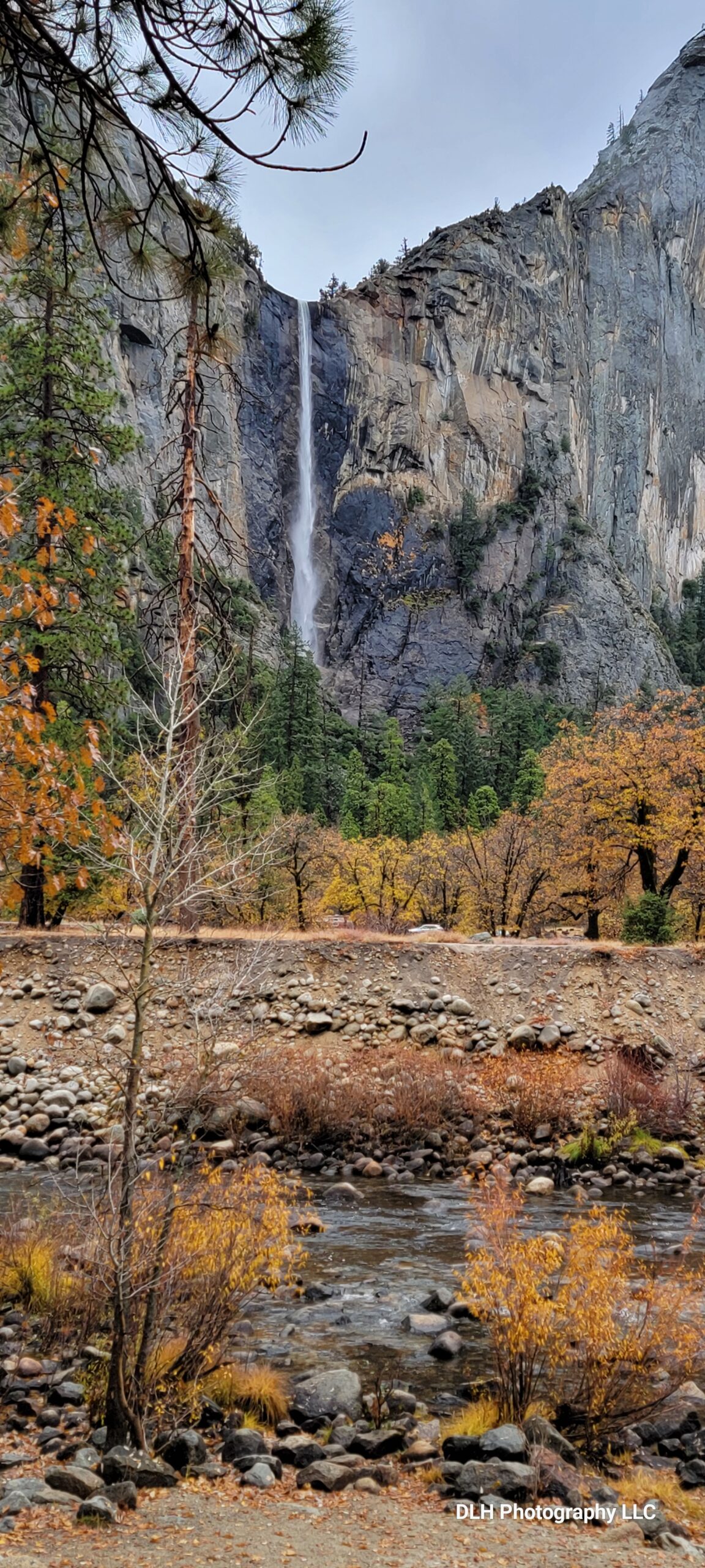 Yosemite Falls, and Tuolumne Meadows, Yosemite National Park (P) - 2024